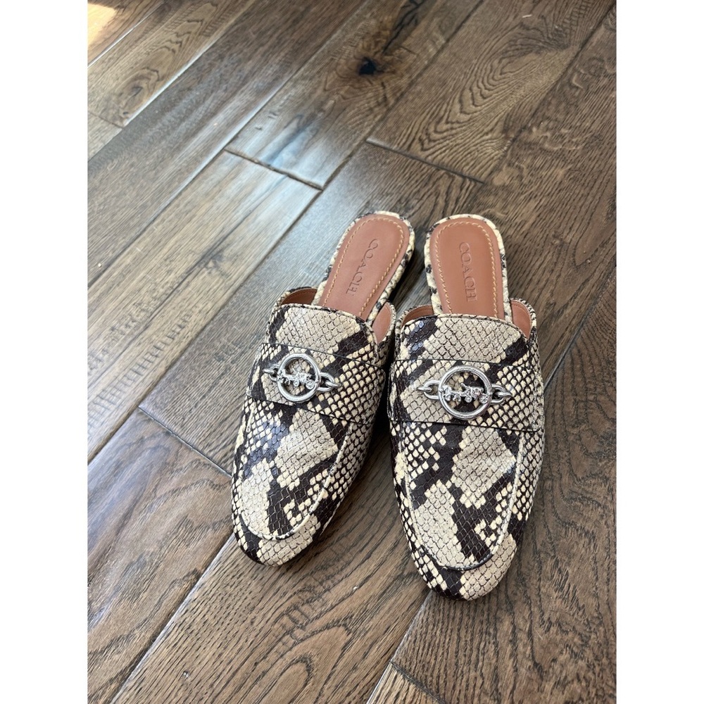 Coach Python Leather Scotty Slide Mules